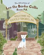 Adventures of Leo the Border Collie From PA