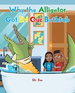 Why the Alligator Got IN Our Bathtub