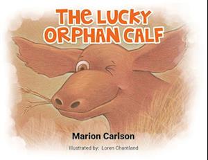 The Lucky Orphan Calf