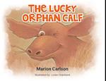 The Lucky Orphan Calf 