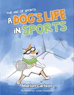 A Dog's Life in Sports