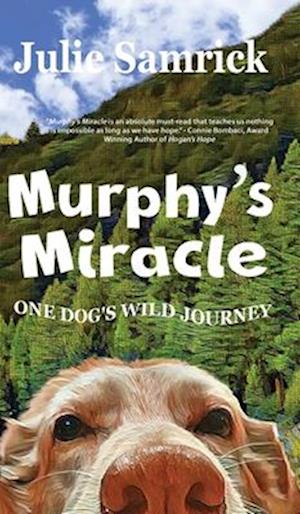 Murphy's Miracle