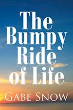 The Bumpy Ride of Life 