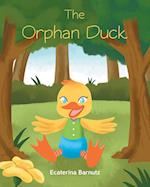 The Orphan Duck 