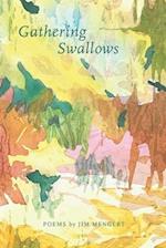 Gathering Swallows: Poems by Jim Mengert 