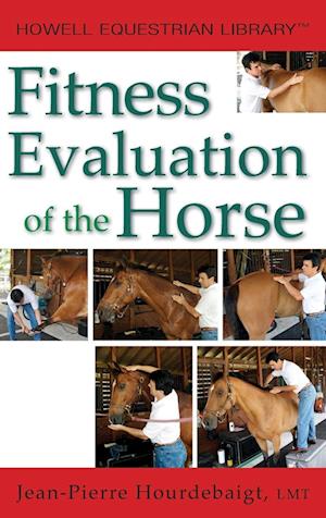 Fitness Evaluation of the Horse