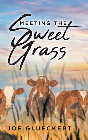 MEETING THE SWEET GRASS