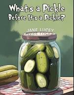 What's a Pickle Before It's a Pickle?