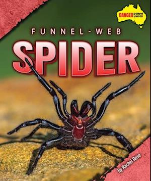 Funnel-Web Spider