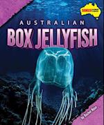 Australian Box Jellyfish