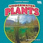 Underwater Plants
