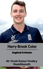 Harry Brook Color