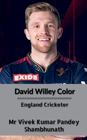 David Willey Color