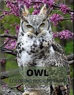 Owl Coloring Book for Kids