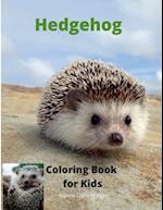 Hedgehog Coloring Book for Kids