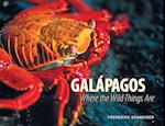 Galápagos