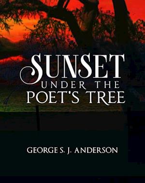 Sunset under the Poet's Tree