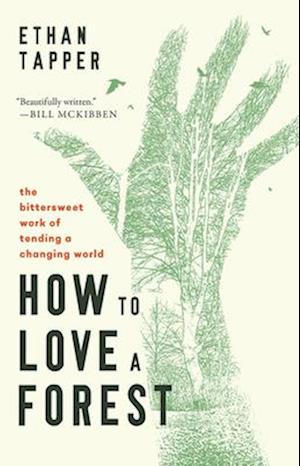 How to Love a Forest