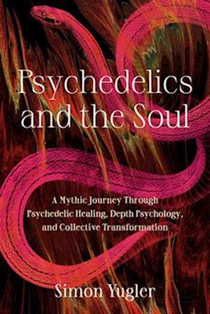 Psychedelics and the Soul