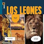 Los Leones