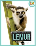 Lemur