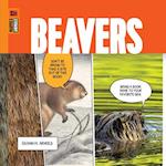 Beavers