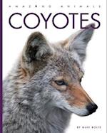 Coyotes