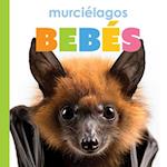 Murciélagos Bebés