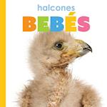 Halcones Bebés