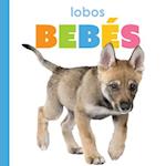 Lobos Bebés