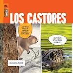 Los Castores