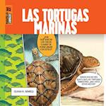 Las Tortugas Marinas