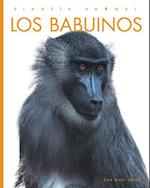 Los Babuinos