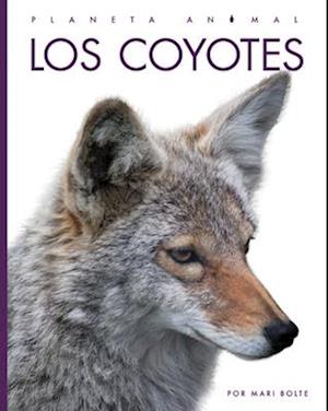 Los Coyotes