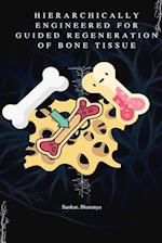 Hierarchically Engineered for Guided Regeneration of Bone Tissue 