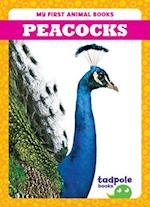 Peacocks