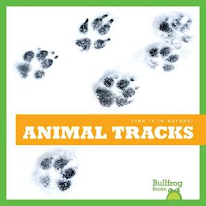 Animal Tracks