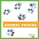 Animal Tracks