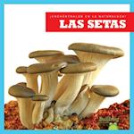 Las Setas (Mushrooms)