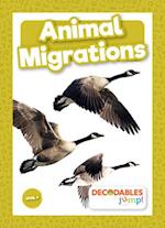 Animal Migrations