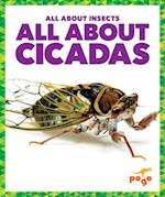 All about Cicadas
