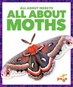 All about Moths