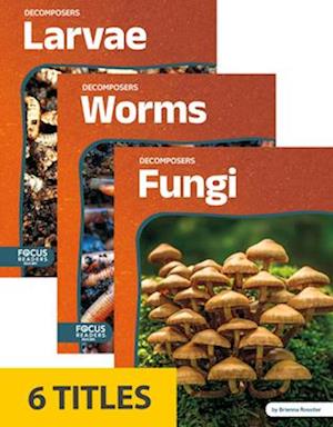 Decomposers (Set of 6)