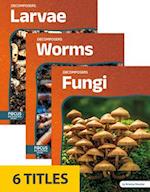 Decomposers (Set of 6)