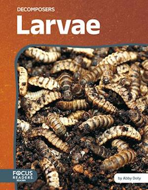 Larvae