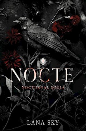 Nocte