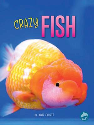 Crazy Fish