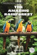 The Amazing Rainforest