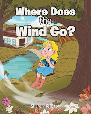 Where Does the Wind Go?