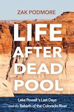 Life After Dead Pool